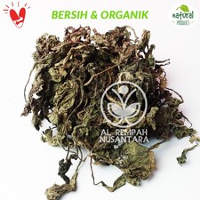 Insulin Leaf Dried Leaves 50g Herbal Infusion Daily Ritual Caffeine-Free Aroma
