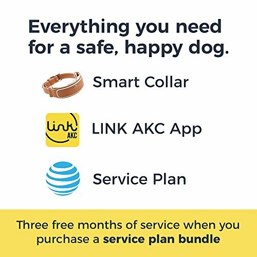 link akc gps & activity monitor