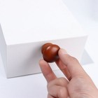 Bild 12 von 26