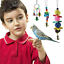thumbnail 8  - 15X Parrot Toys Metal Rope Small Ladder Stand Budgie Cockatiel Cage Bird Toy Set