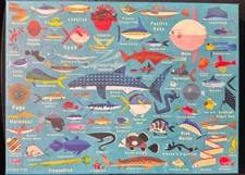 Ocean Life 1000pc Puzzle by Mudpuppy