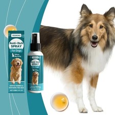 Pup Labs K9 Soothe Anti Itch Spray For Dogs With Aloe, Rose  Coconut, 4 FL OZ