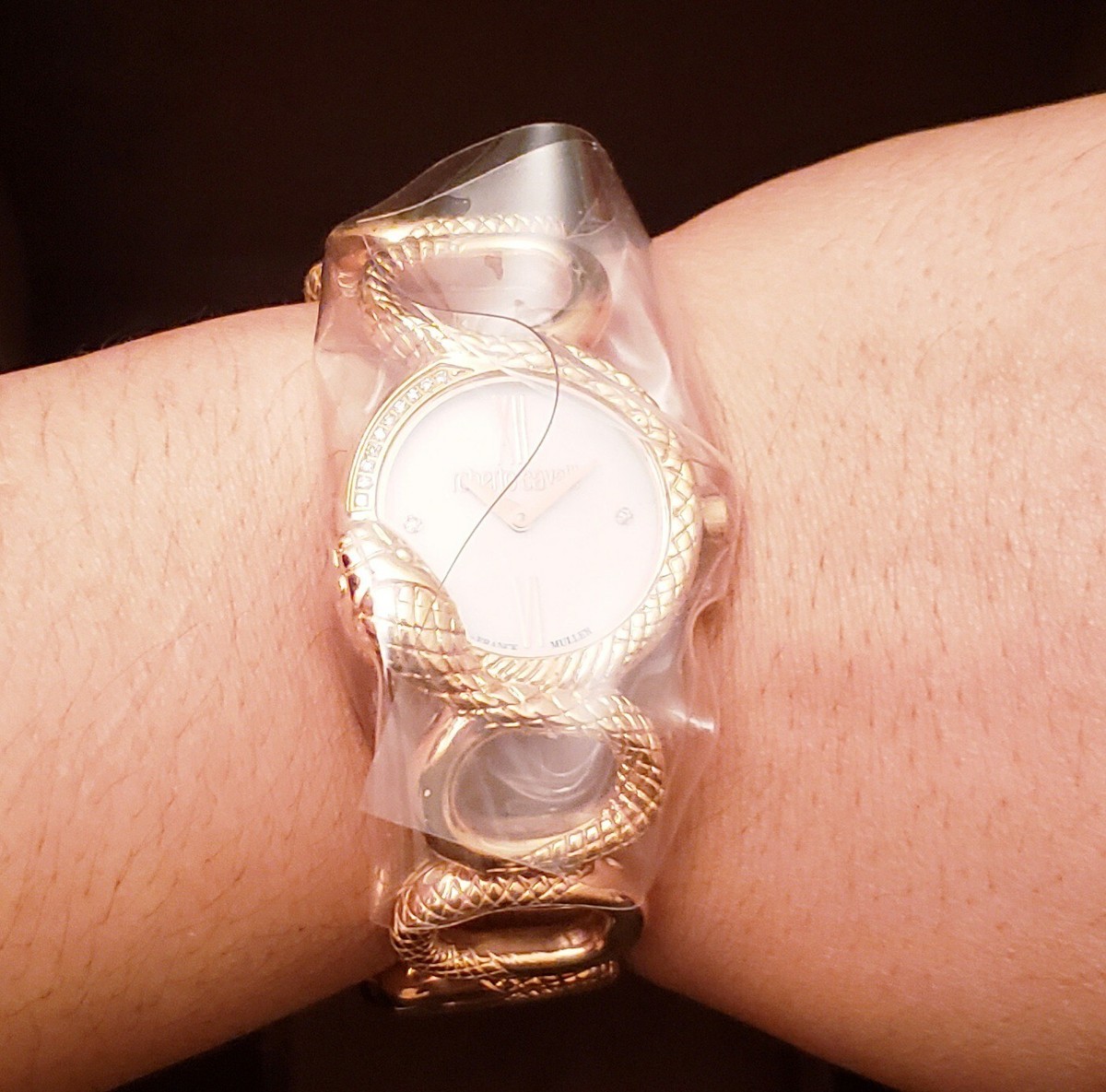 Roberto Cavalli by Franck Muller Womans Snake Bracelet Watch