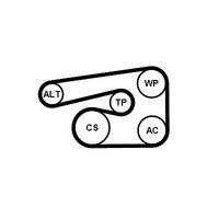 Continental Ctam Keilrippenriemensatz U.A. FüR Alfa Romeo, Fiat, Opel