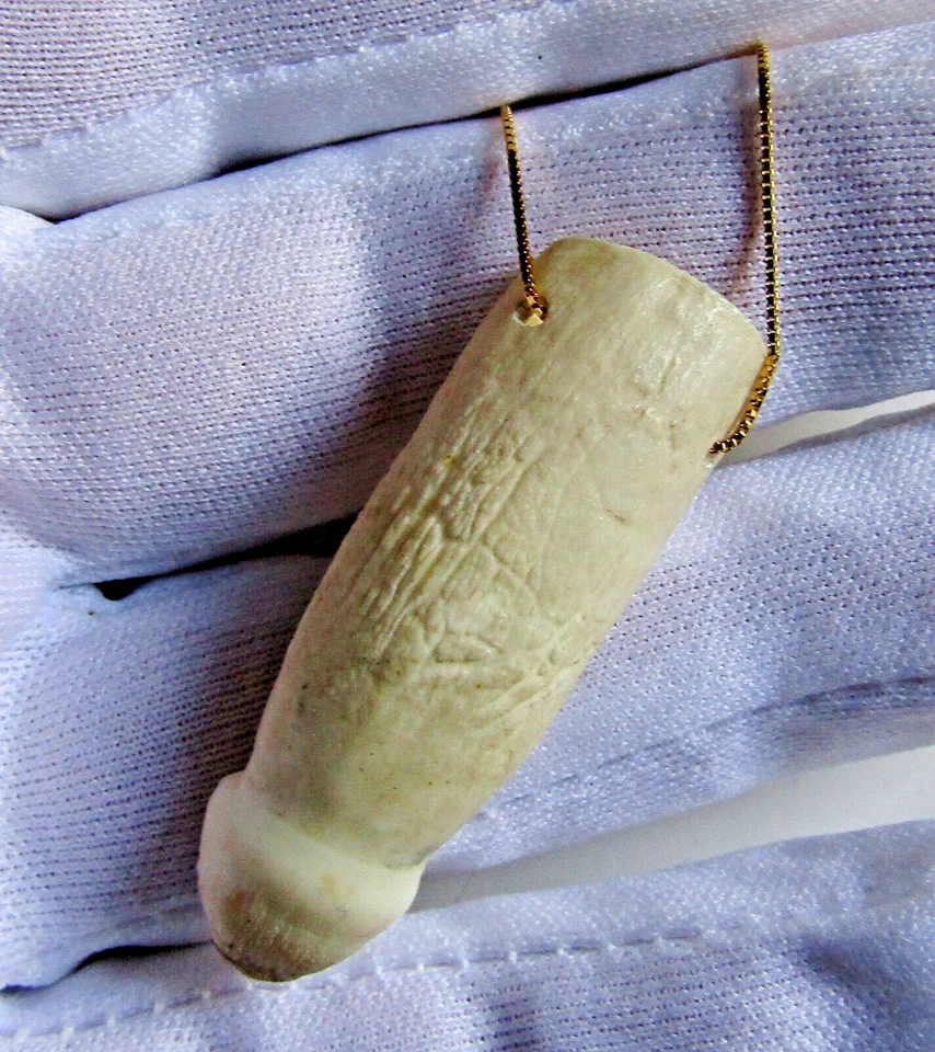 Impresionante diente de cocodrilo amazónico (molar) - plateado dorado - genuino Foto 3 de 4