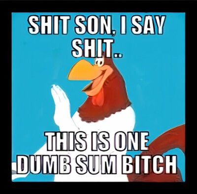 Sh*t Son I Say Sh*t This Is One Dumb Sum B*tch FogHorn Cartoon -MAGNET