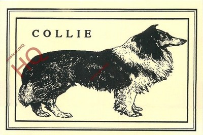 Ansichtskarte, Hund, Collie, Computergrafik [Bobs Computerpostkarte]