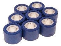 Variomatikgewichte Polini 25X19Mm - 17,0G - 8Stk
