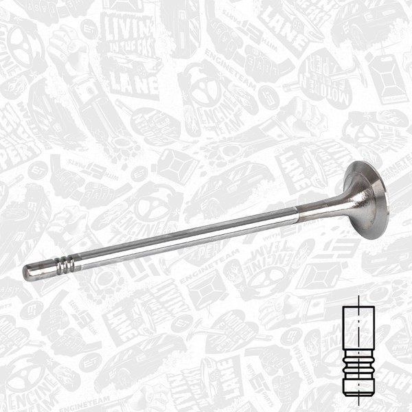 ET Engineteam Auslassventil VE0167 FüR BE1 BA5 BE2 BQ1 5G1 VW Golf Bimetall 7 5-image