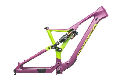 orbea rallon custom