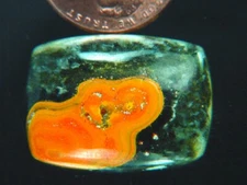 BUTW Gorgeous Indonesia Bumble Bee Jasper Free Form cabochon lapidary  2959K