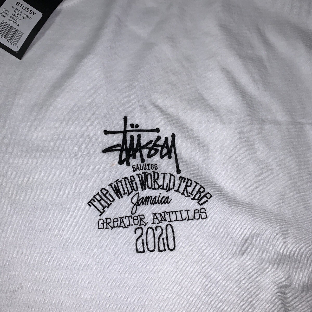 stussy Tシャツ STUSSY ステューシー Tシャツ 半袖 メンズ & レディース Surf
