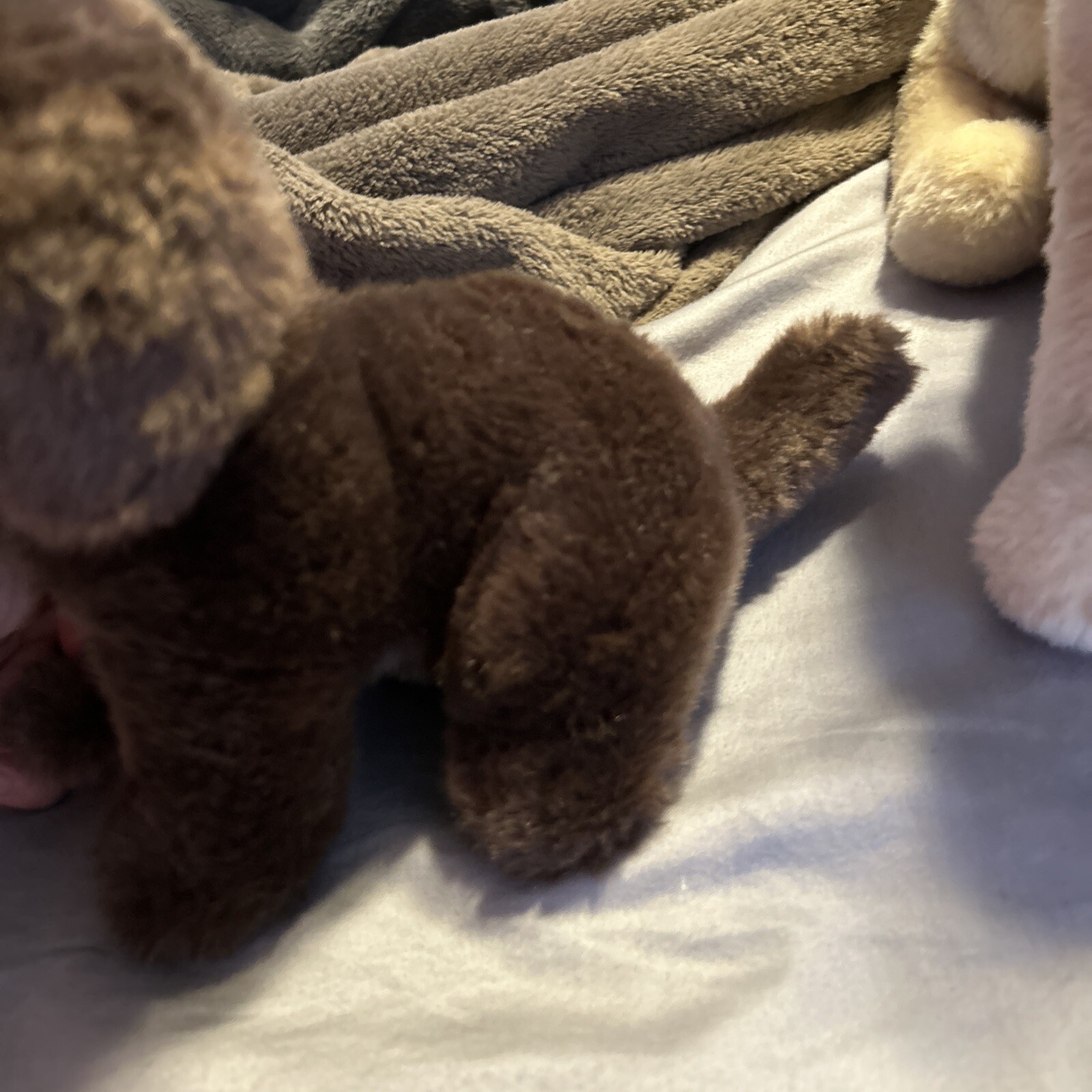 Douglas The Cuddle Toy C.C. Bean Chocolate Lab Dog Plush Golden