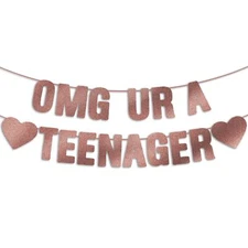 OMG UR A Teenager Rosegold Glitter Banner 13th Birthday Party Decorations Mea...