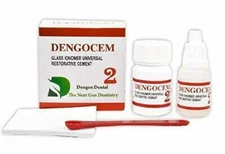 Dengen Dengocem Permanent White Teeth Tooth Filling Kit Repairs US TARIFF PAID