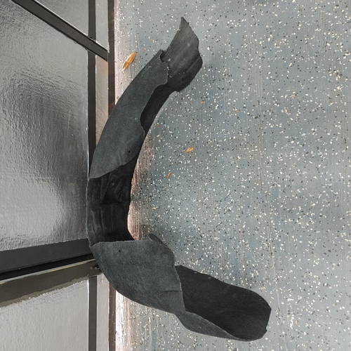 Genuine Ford Driver Left Rear Wheelhouse Fender Liner 20132019 Escape