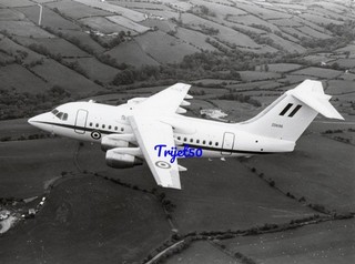 8x6 B&W Photo BAe 146 RAF ZD696