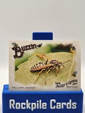2024 Topps Allen & Ginter Buzzin Yellow Jacket #BUZ-13