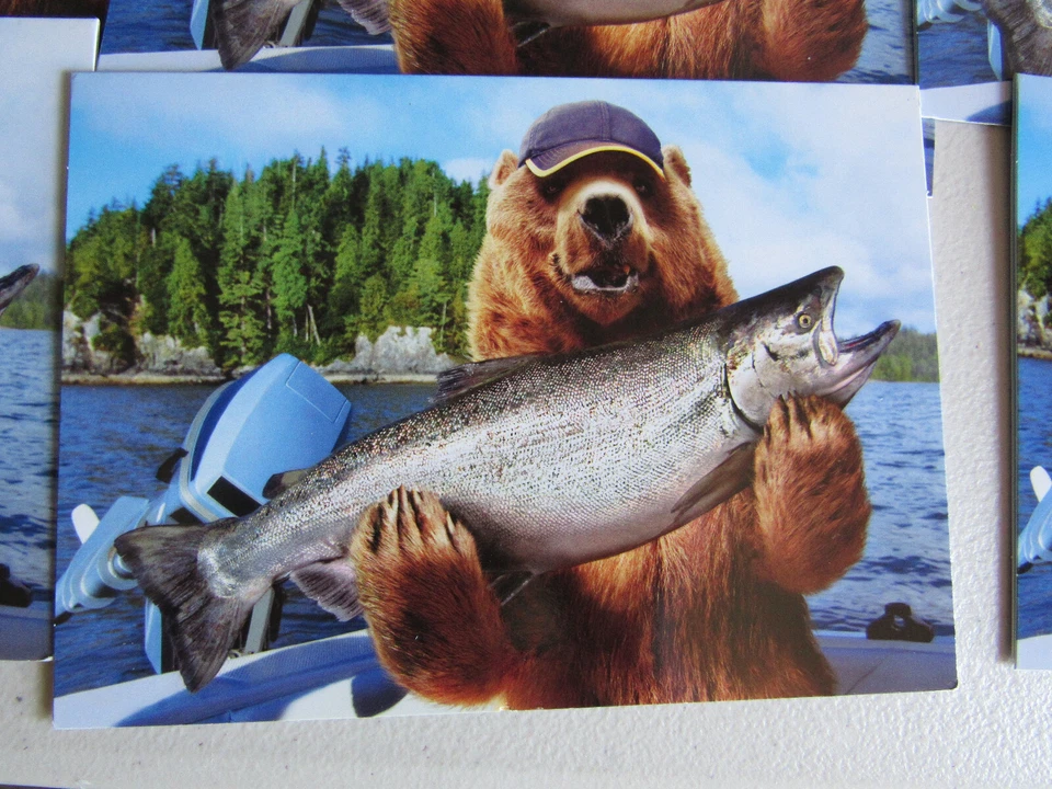 Lote de 11 Osos Pesca con Pez Papá Tarjeta Día del Padre Saludo Avanti Press EE. UU. Foto 2 de 4