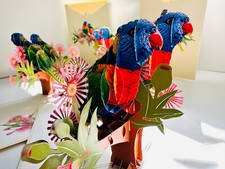 Double Rainbow Lorikeet Parrot Bird Happy Birthday Best Wishes Present Pop Cards