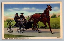 Lancaster Pennsylvania Amish Boys Horse Buggy Curt Teich Linen Postcard 1941