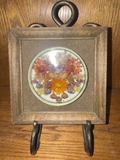 Vintage Dried Flowers Under Glass Preserved Wall Hanging Plaque Floral Boho Art
