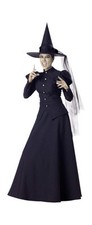 New Wretched Wicked Witch Adult Costume Size Small