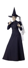 New Wretched Wicked Witch Adult Costume Size Small