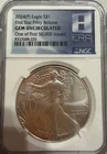 2024(P) American Silver Eagle First Star Privy NGC GEM UNC - One of First 50,000