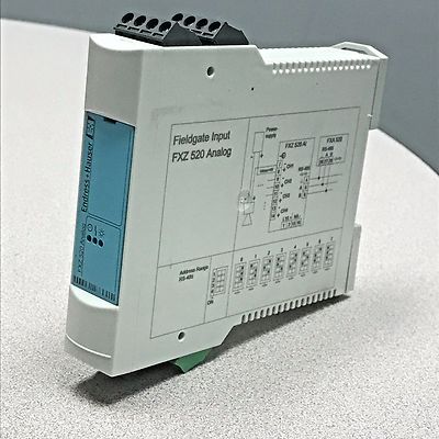 Endress+Hauser FXZ520 Fieldgate Input 