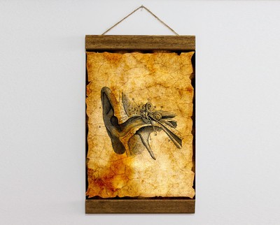 Human Brain Anatomy Illustration Neurology Doctor Wall Art Canvas 8 7 X 11 8