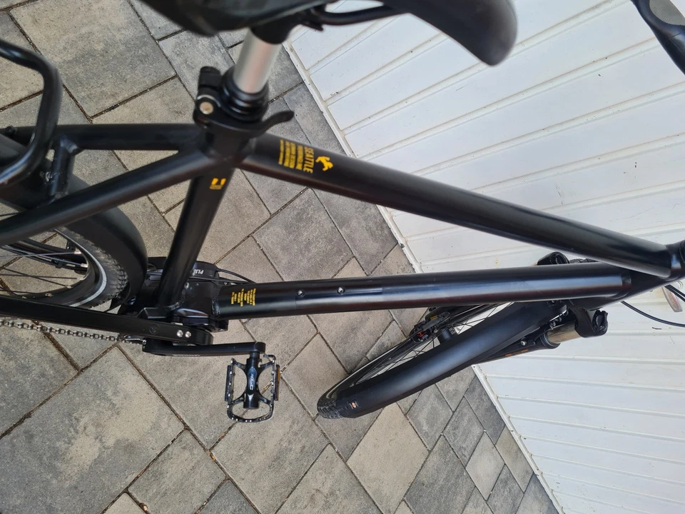 28" SEATTLE von STEIGER mit PINION P1.18 RH:60cm - Bild 4 von 4