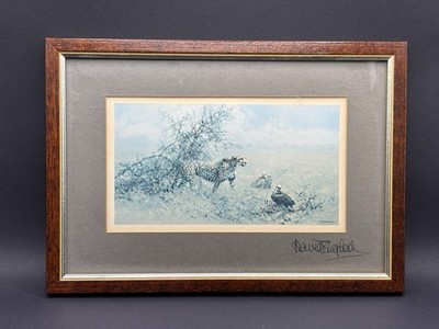 David Shepherd Gepard Wildlife Druck signiert Reittier gerahmt verblasste Farben