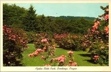 Azalea State Park Brookings Oregon Vintage Postcard CurteichColor