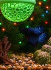 3D Printed Fish Hammock Bed Floating Cave Betta Resting Spot, Aquarium Safe