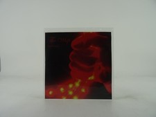 THE WHIP FRUSTRATION (A34) 2 Track Promo CD Single including Picture Sleeve KIDS