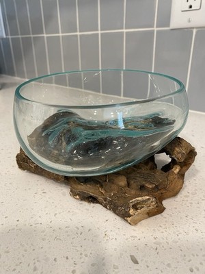 Handcrafted Glass Bowl on Driftwood Base   Unique Artisan Decor, Terrarium Piece