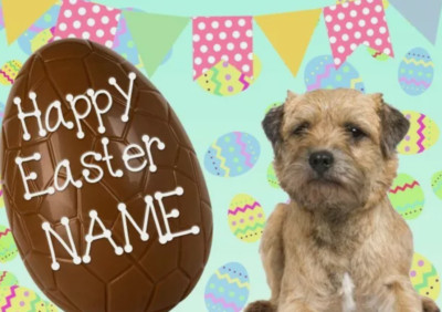 Border Terrier Welpe Frohe Ostern personalisierte Grußkarte A5 Schokoladenei EE63