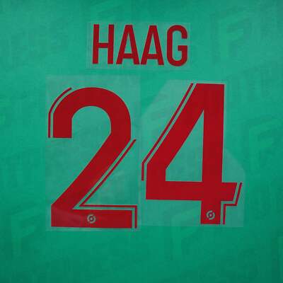 Offizielle Beflockung - Rodez AF, Haag, 2023/2024, Away, rot