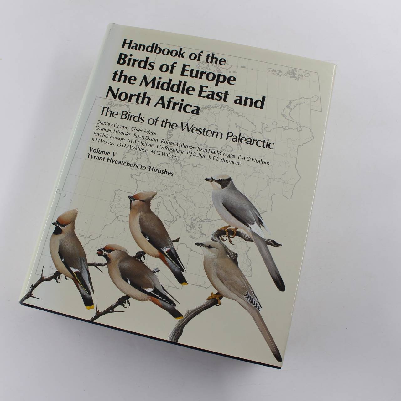 Handbook of the Birds of Europe, the Middle East and North Africa: Tyrant Flycat