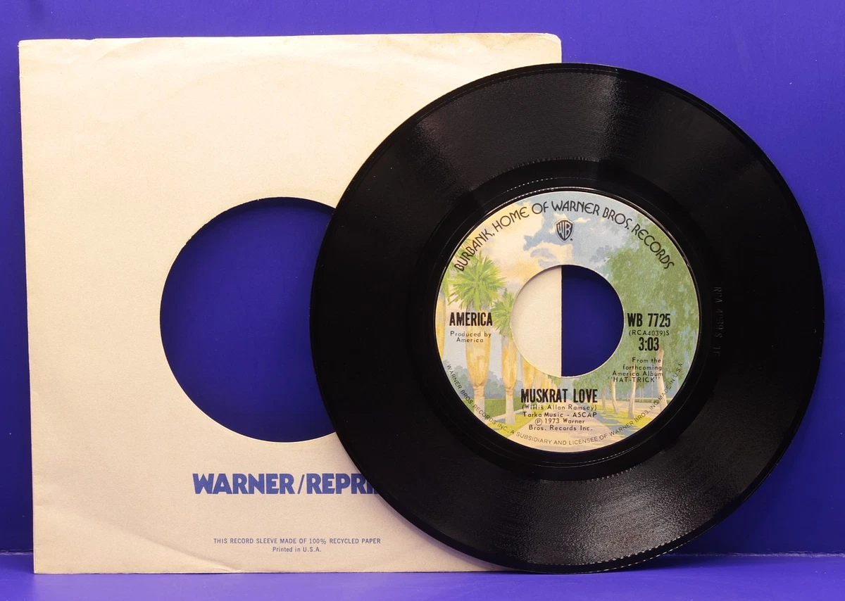 America Single 45 RPM Speed Vinyl Records for sale | eBay