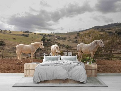 3D Nature Horse Self-adhesive Removeable Wallpaper Wall Mural