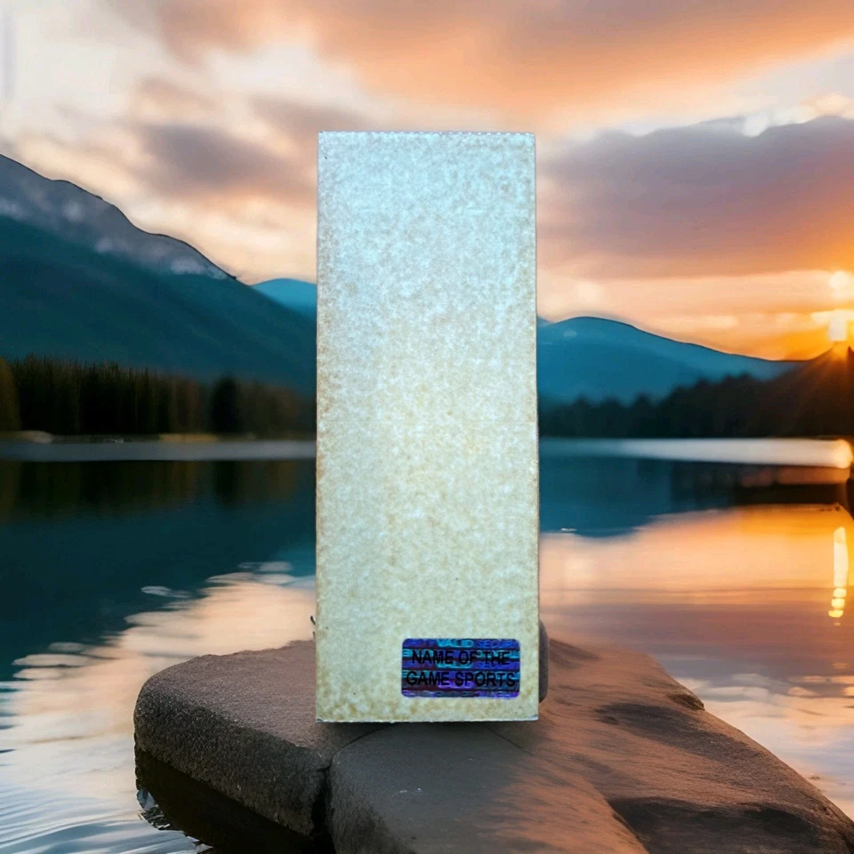 Miracle On Ice 🇺🇸 Auténtico Boleto de Entrenamiento 22 de Febrero 1980 EE. UU. Hockey ¡RARO! Foto 2 de 3