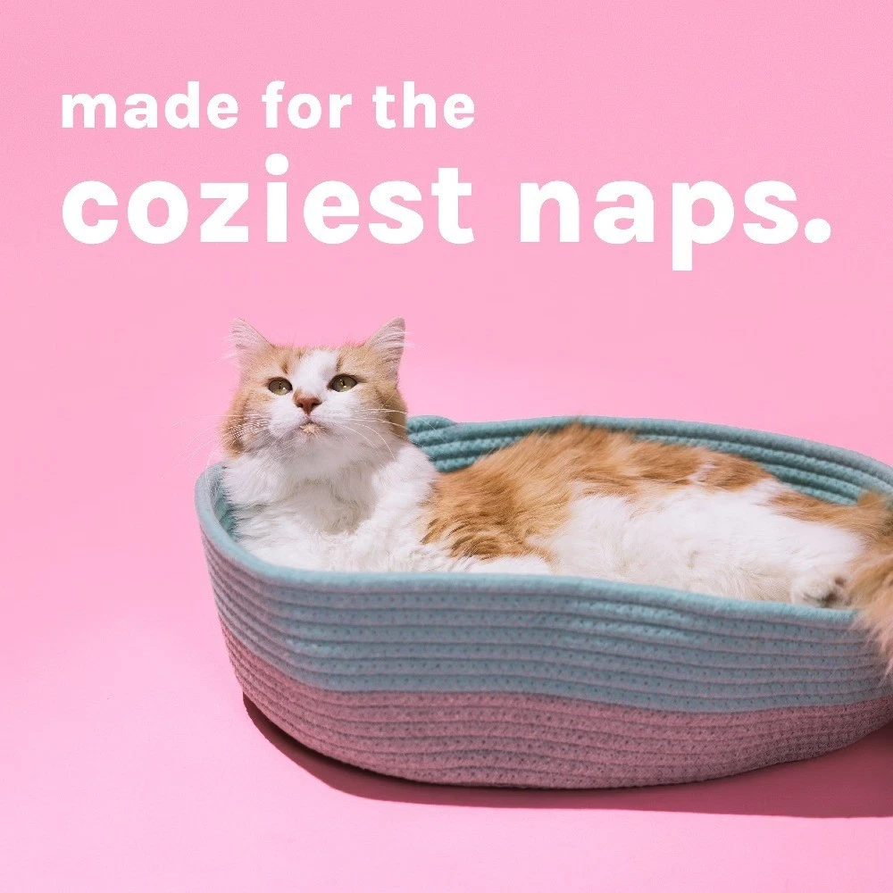 Woven Cat Bed, Cotton Rope Basket with Washable Cushion, Multicolor - thumbnail 4