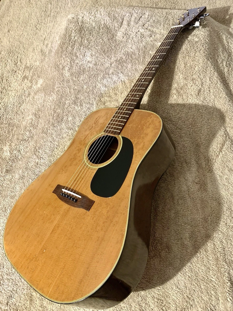 Aria Dreadnought Acoustic Guitars for sale | eBay
