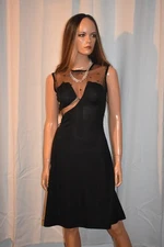 Sexy & Unique S Vintage New Leaf California Sheer Upper Fit & Flare Dress