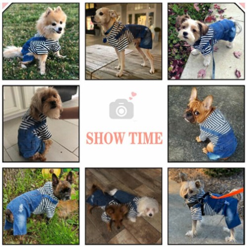 Pet Dog Jumpsuit Denim Jacket Clothes Stripe Jean Overalls Puppy Cat Hoodie Coat - Picture 3 of 13