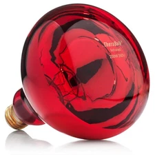 TheraBulb Near Infrared Bulb - 250W/240V - Sold by Manufacturer
