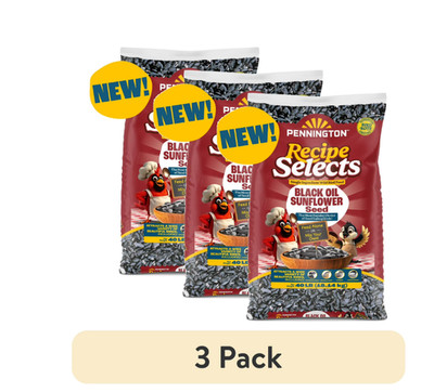 3 pack Pennington Recipe Selects Black Oil Sunflower Seed Dry Wild Bird