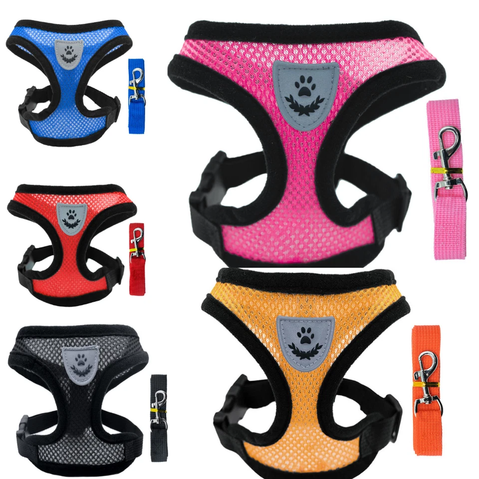 Hundegeschirr Katzengeschirr Brustgeschirr mit Leine Mesh Anti-Zug atmungsaktiv